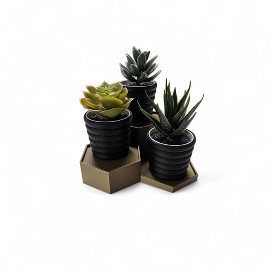 3D Printed Succulent Stand with 3 Pots