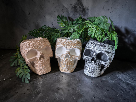 3D Printed Skull 9cm Pot