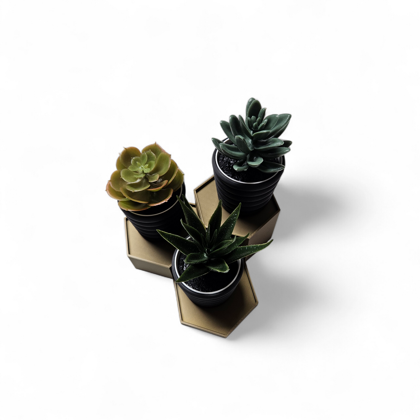 3D Printed Succulent Stand with 3 Pots